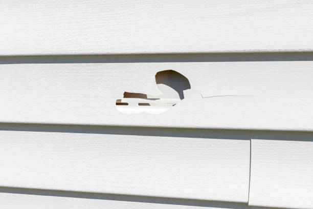 Best Same-Day Junk Removal Services  in Loudonville, NY