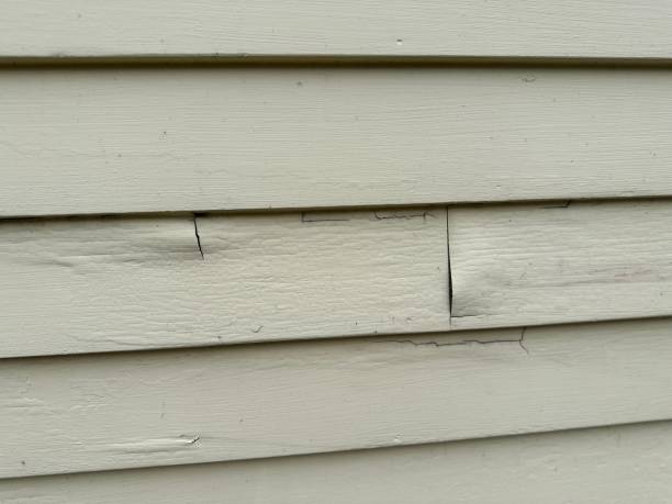 Property Management Cleanouts in Loudonville, NY